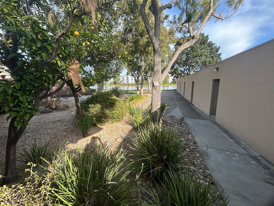 Walkway to waterfront