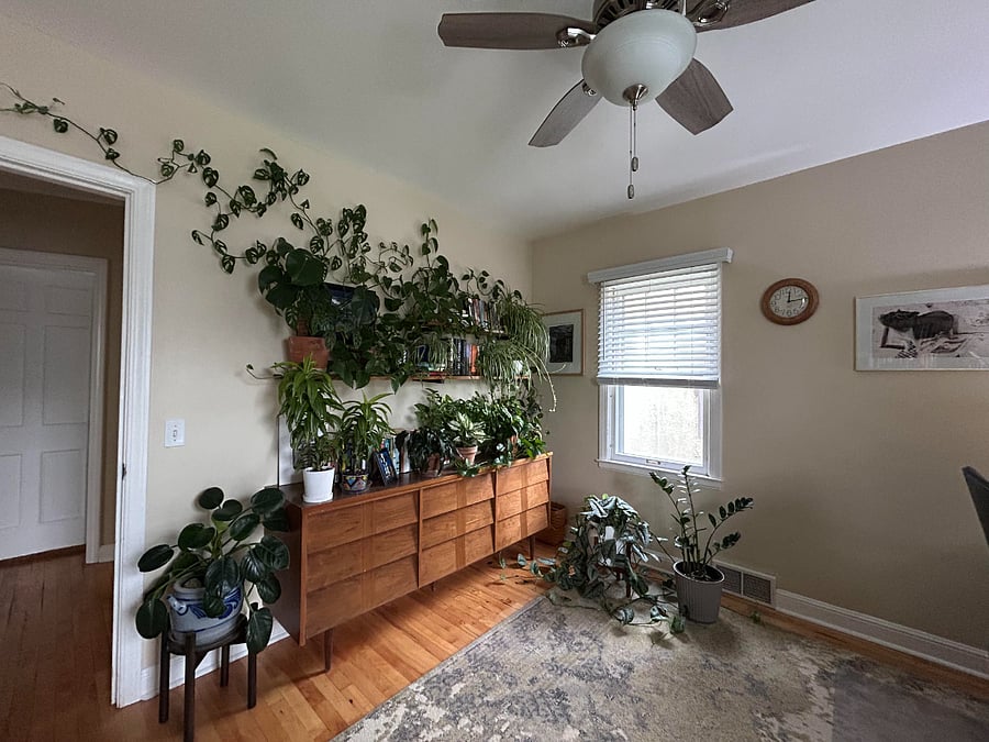 Furnished Finder property 892250_1 photo 9