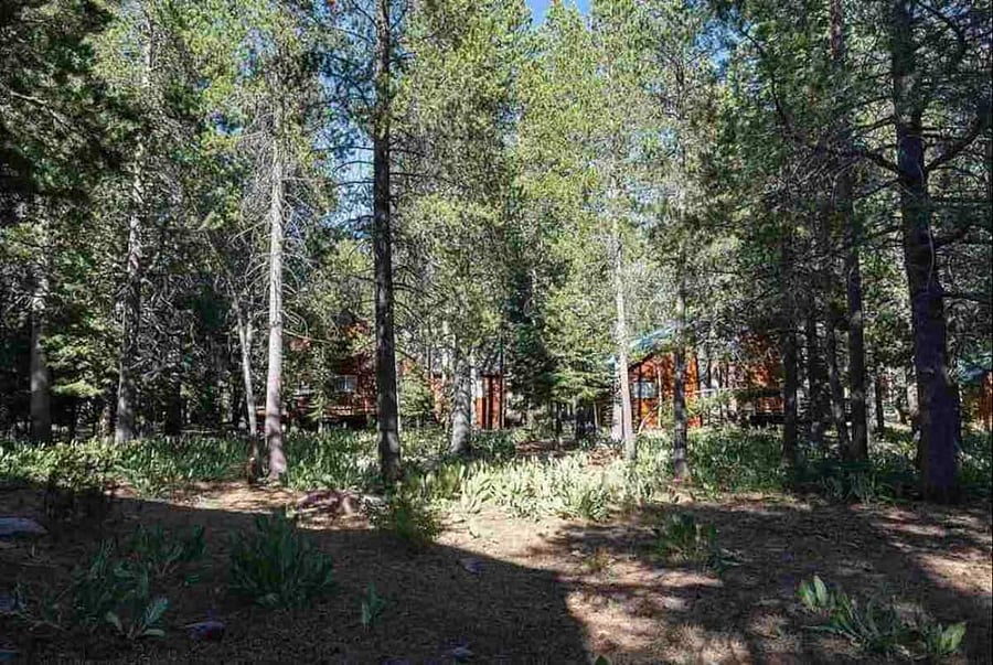 Furnished Finder property 892310_1 photo 16