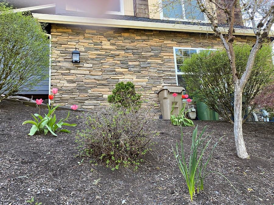 Furnished Finder property 892385_1 photo 7