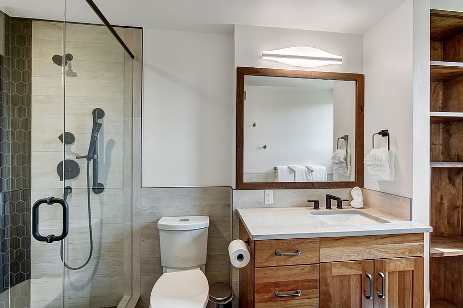 Lower Level Guest Suite Bath