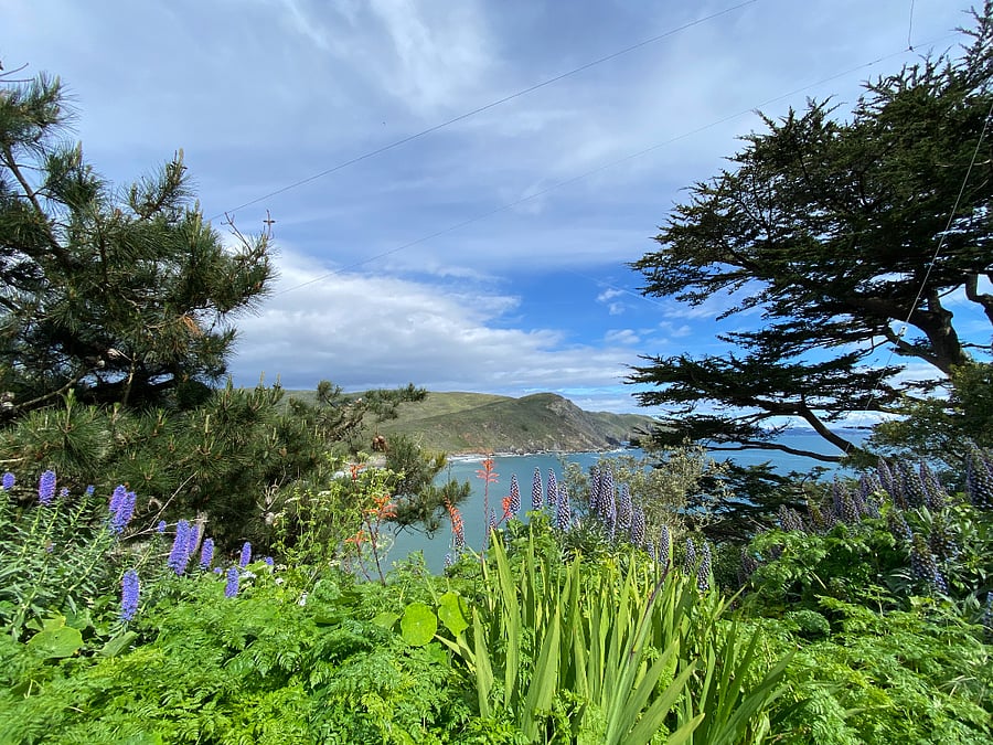 Yes, this is your view. Muir Beach is a magical place.