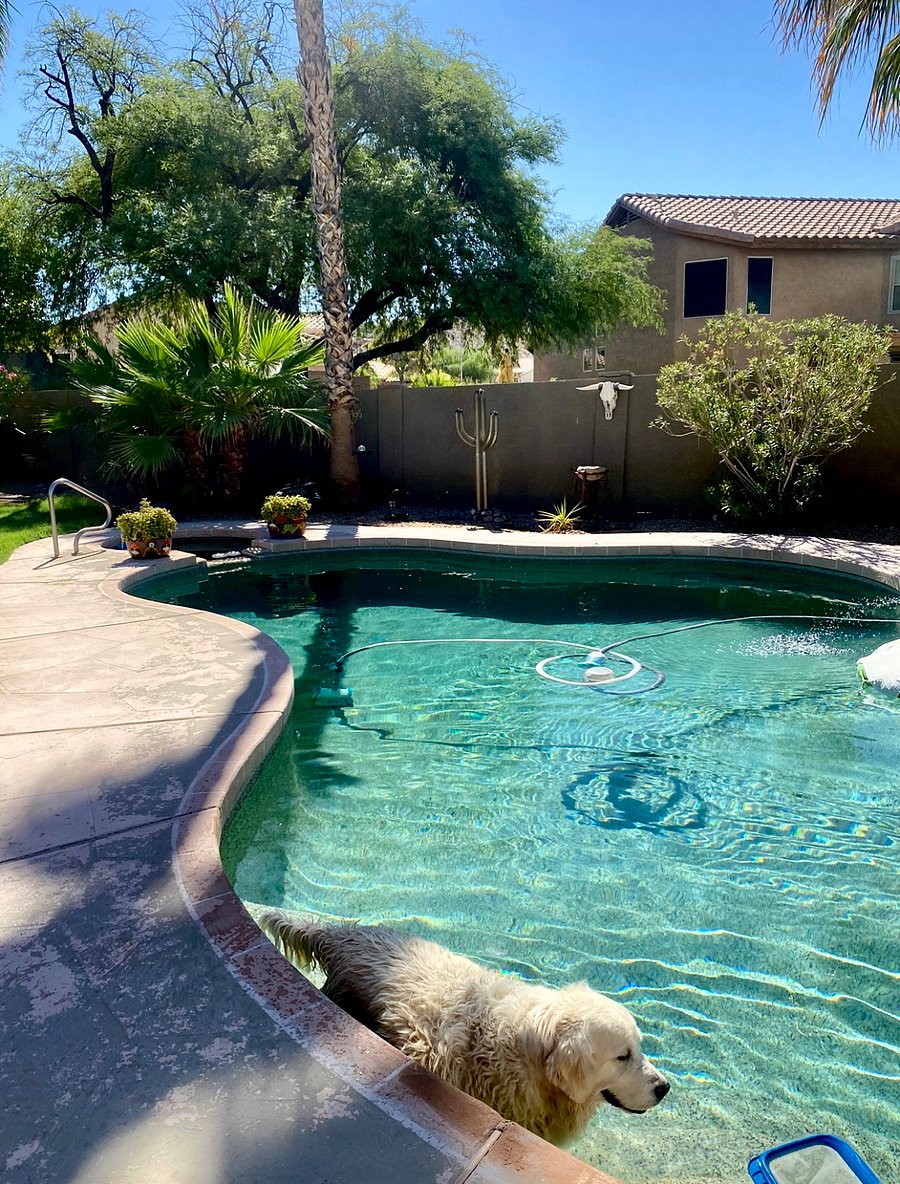 Furnished Finder property 892605_1 photo 22