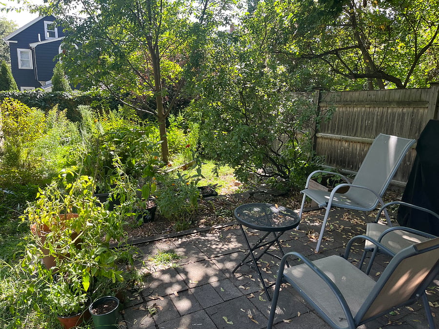 Furnished Finder property 892638_1 photo 11