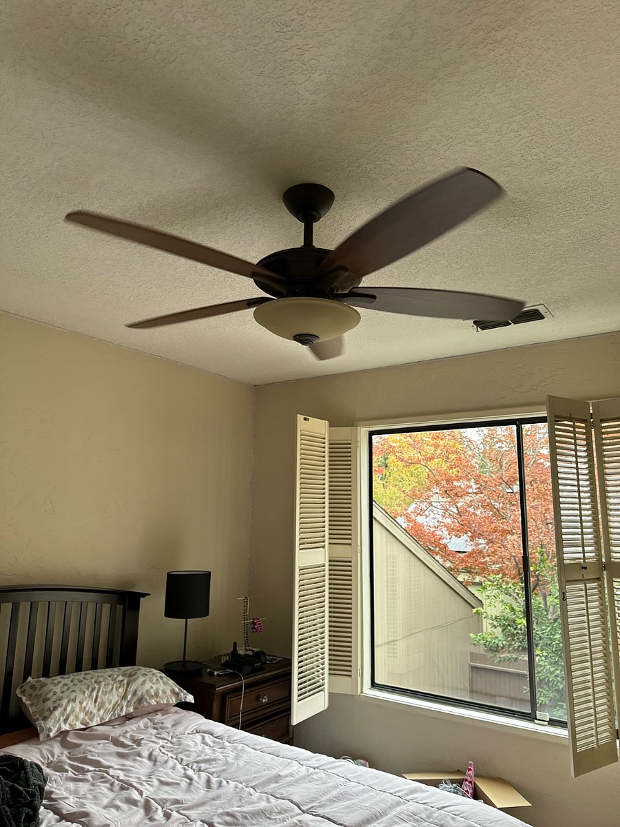 Bedroom for rent has a fan and light plus huge window looking into own private courtyard.