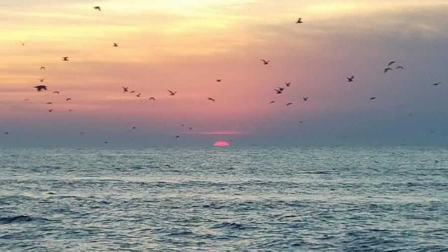 Not far from Lake Erie!
15min from Headlands or Fairport Beach 
