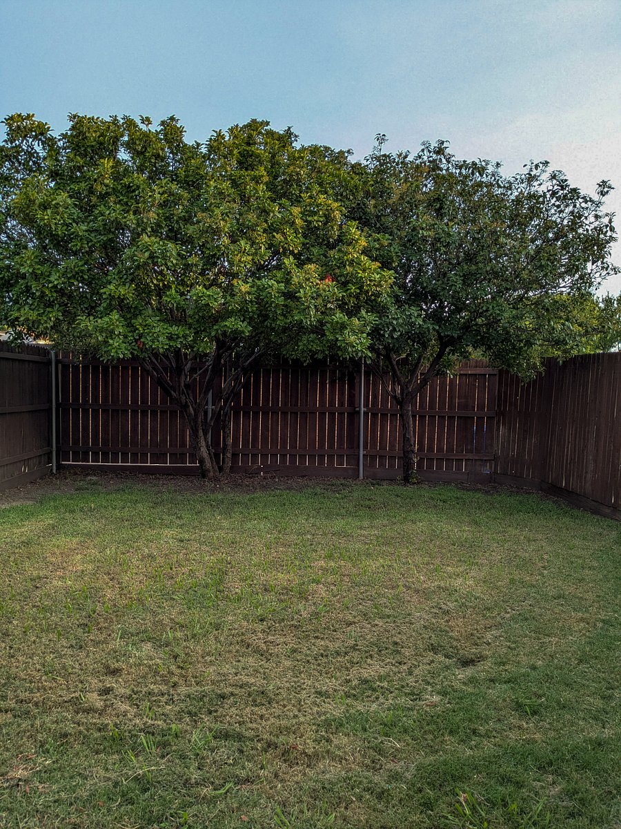 Furnished Finder property 893022_1 photo 17