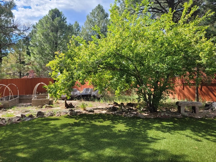 View from your bedroom window