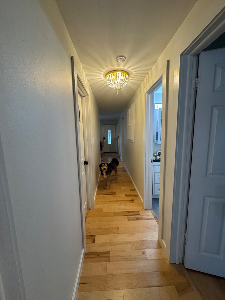 Furnished Finder property 893260_1 photo 9