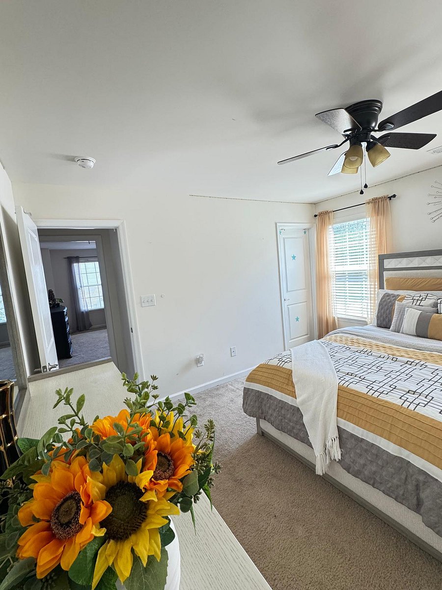 Furnished Finder property 893347_1 photo 6