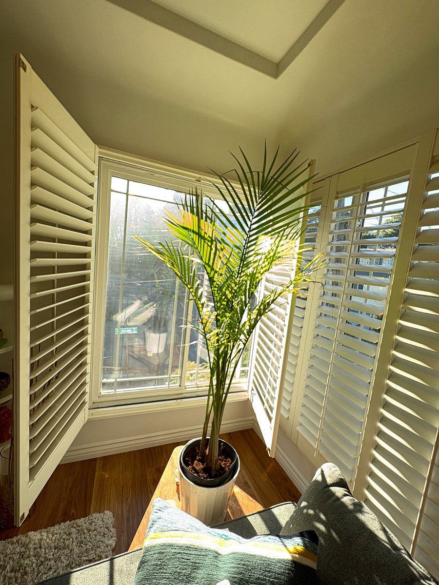 Furnished Finder property 893382_3 photo 38
