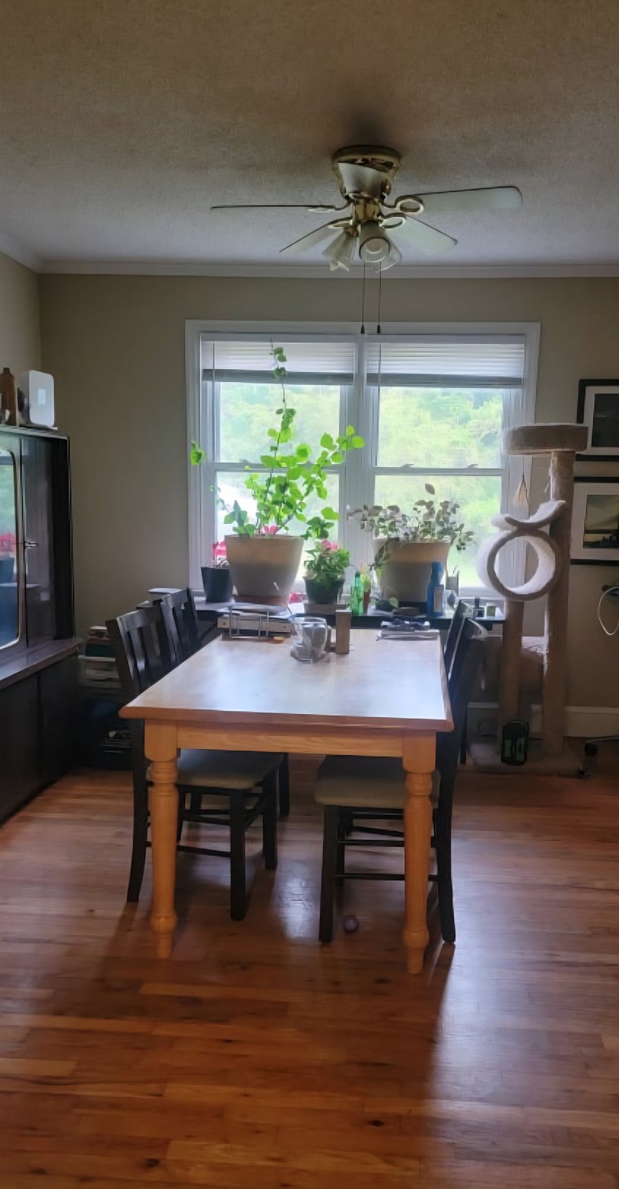 Kitchen/dining room table. I do have a lot of plants that are currently indoors.