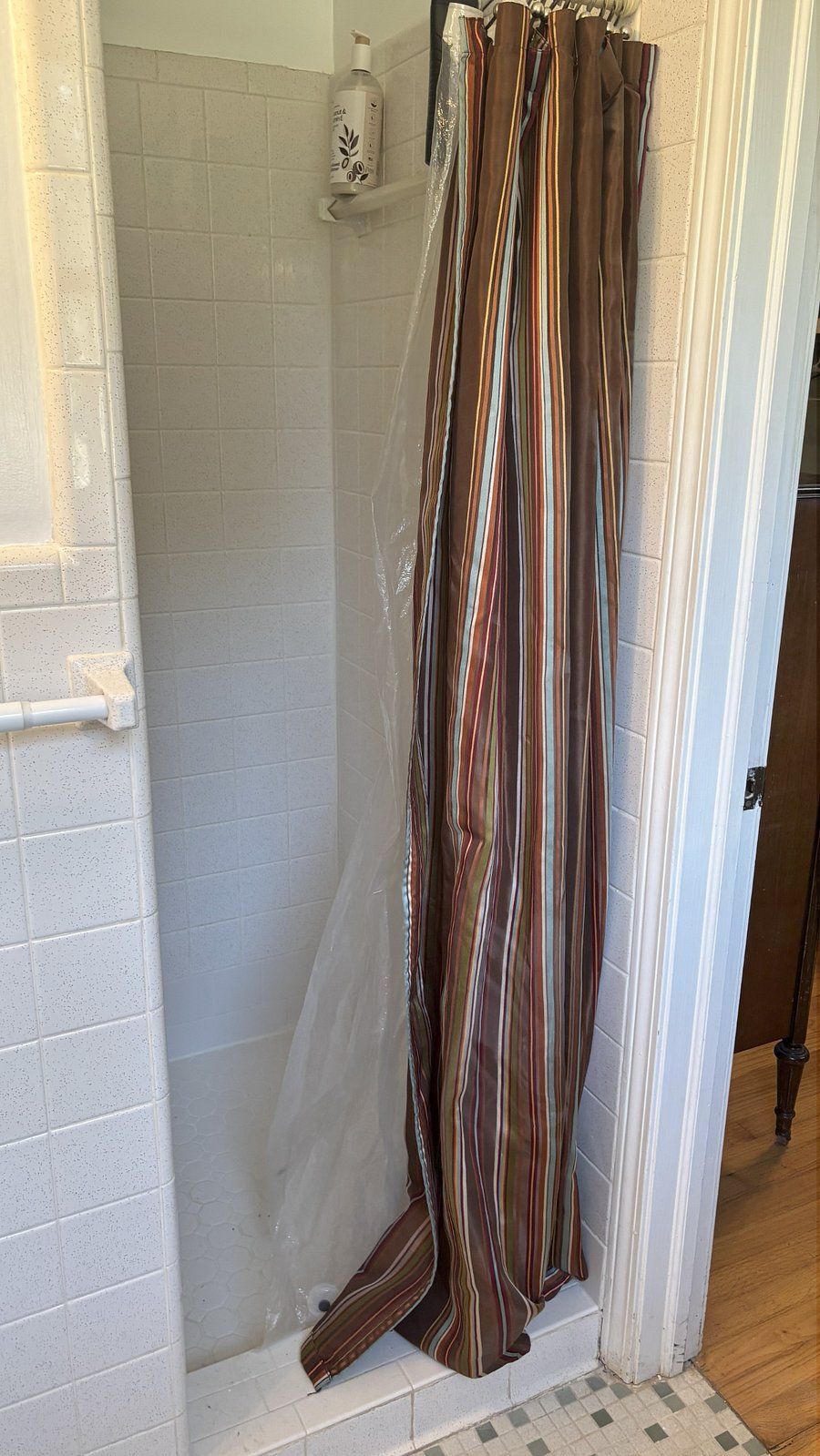 Shower curtain and shower entrance 