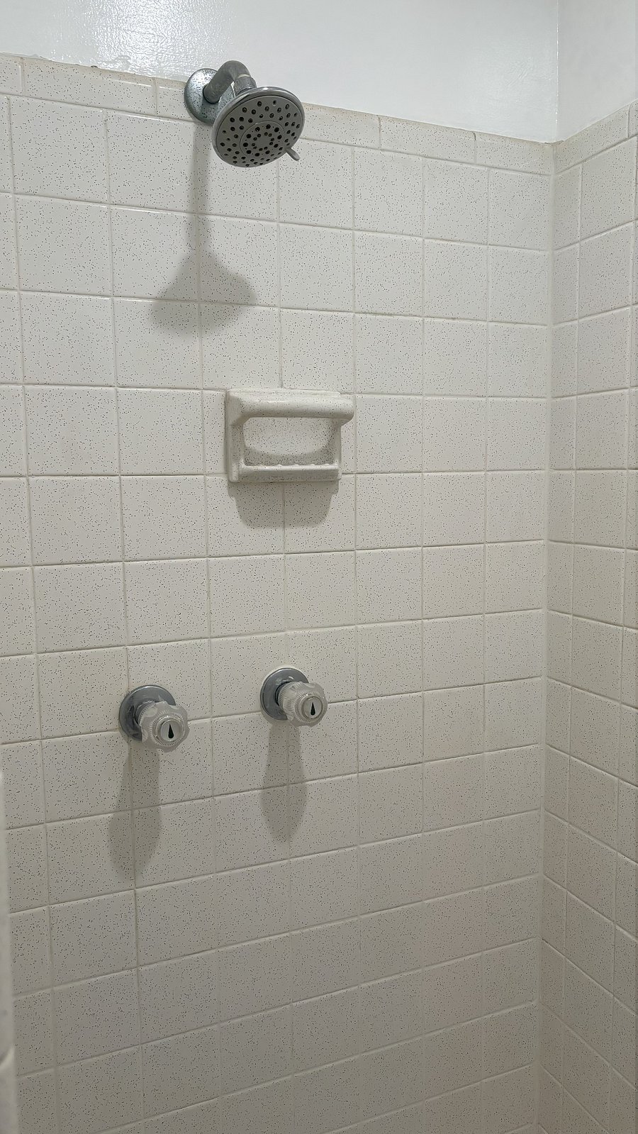 Shower head and knobs (water pressure is good)
