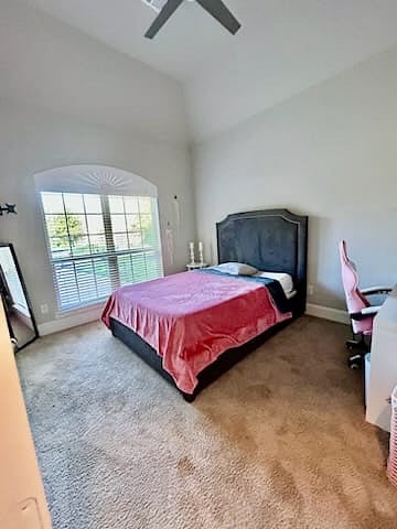 Furnished Finder property 893451_1 photo 42
