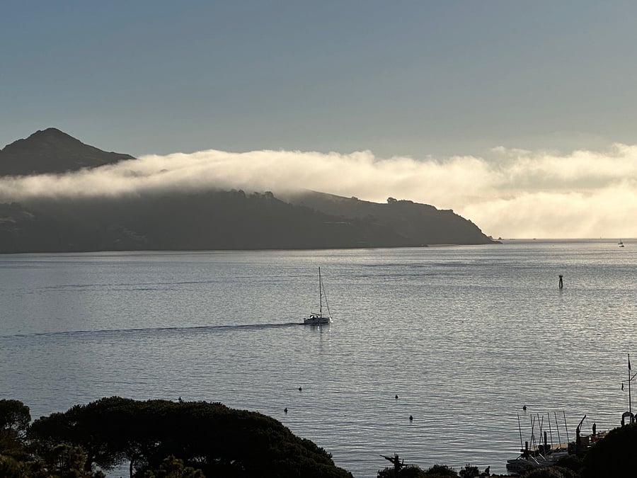 View from deck