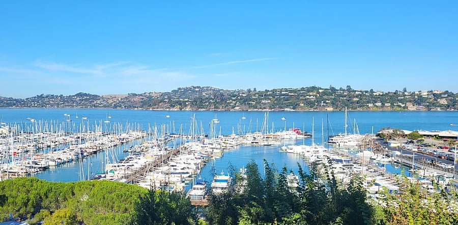 View from deck