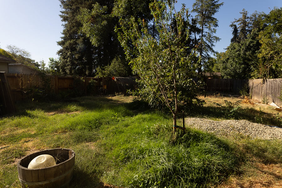 Backyard