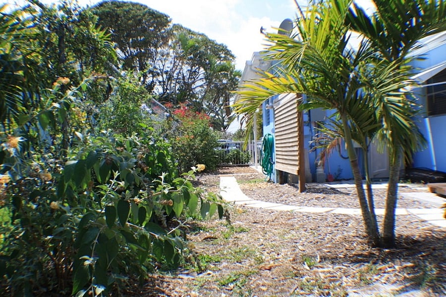 Path from side patio to the backyard