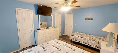Furnished Finder property 893693_1 photo 9