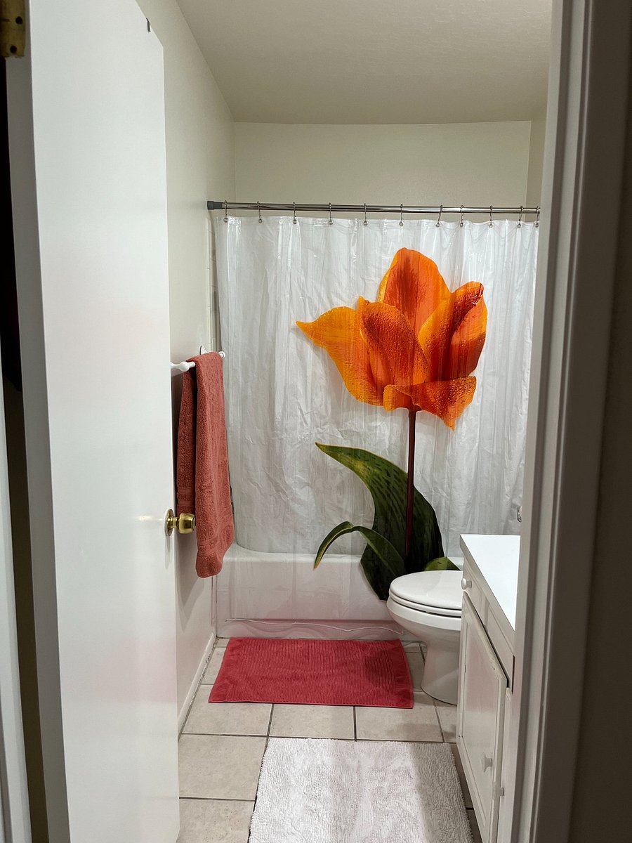 Furnished Finder property 893737_1 photo 16