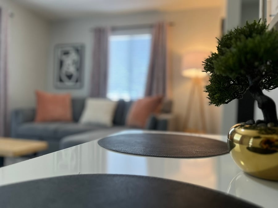 Furnished Finder property 893754_3 photo 12