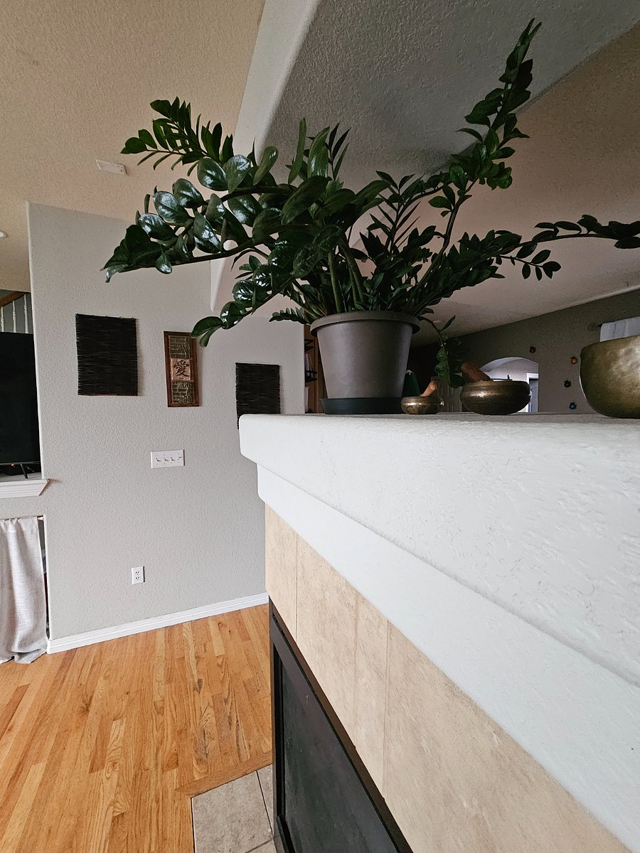 Furnished Finder property 893781_1 photo 20