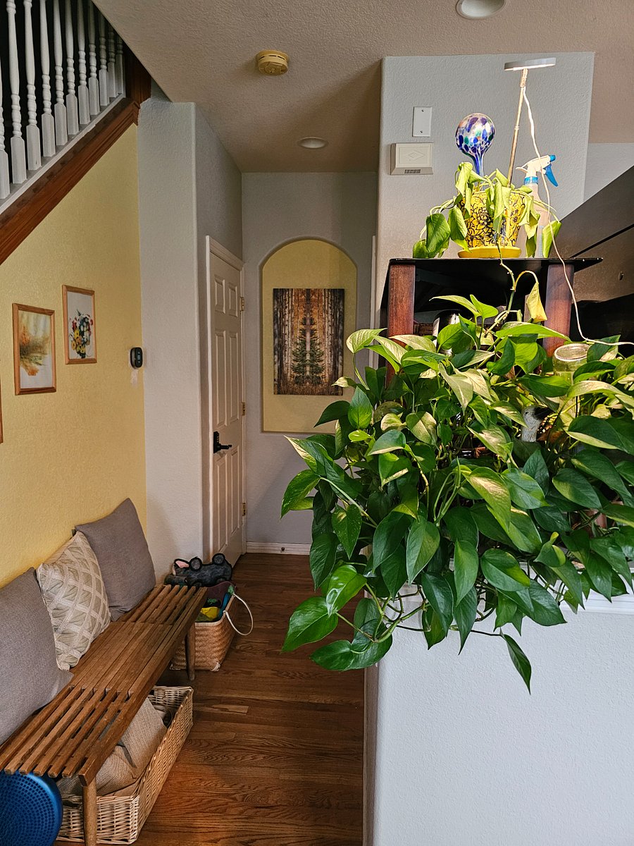 Front entry