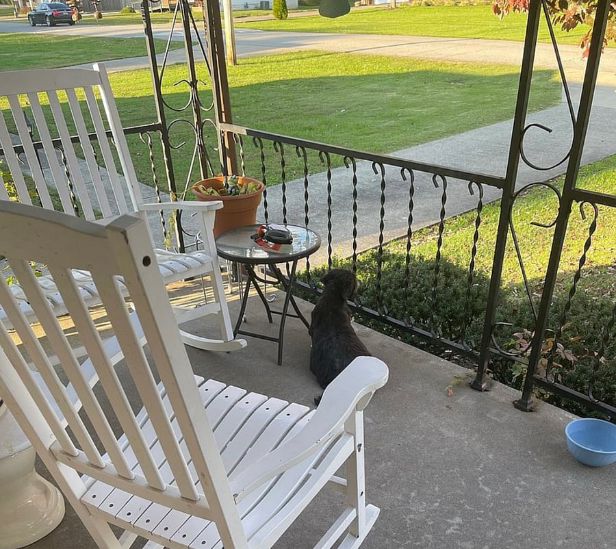 Furnished Finder property 893851_1 photo 20