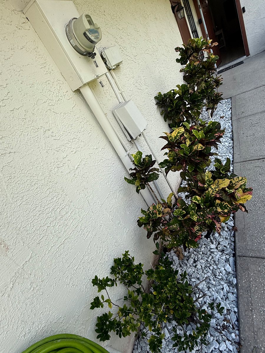 Furnished Finder property 893898_1 photo 9