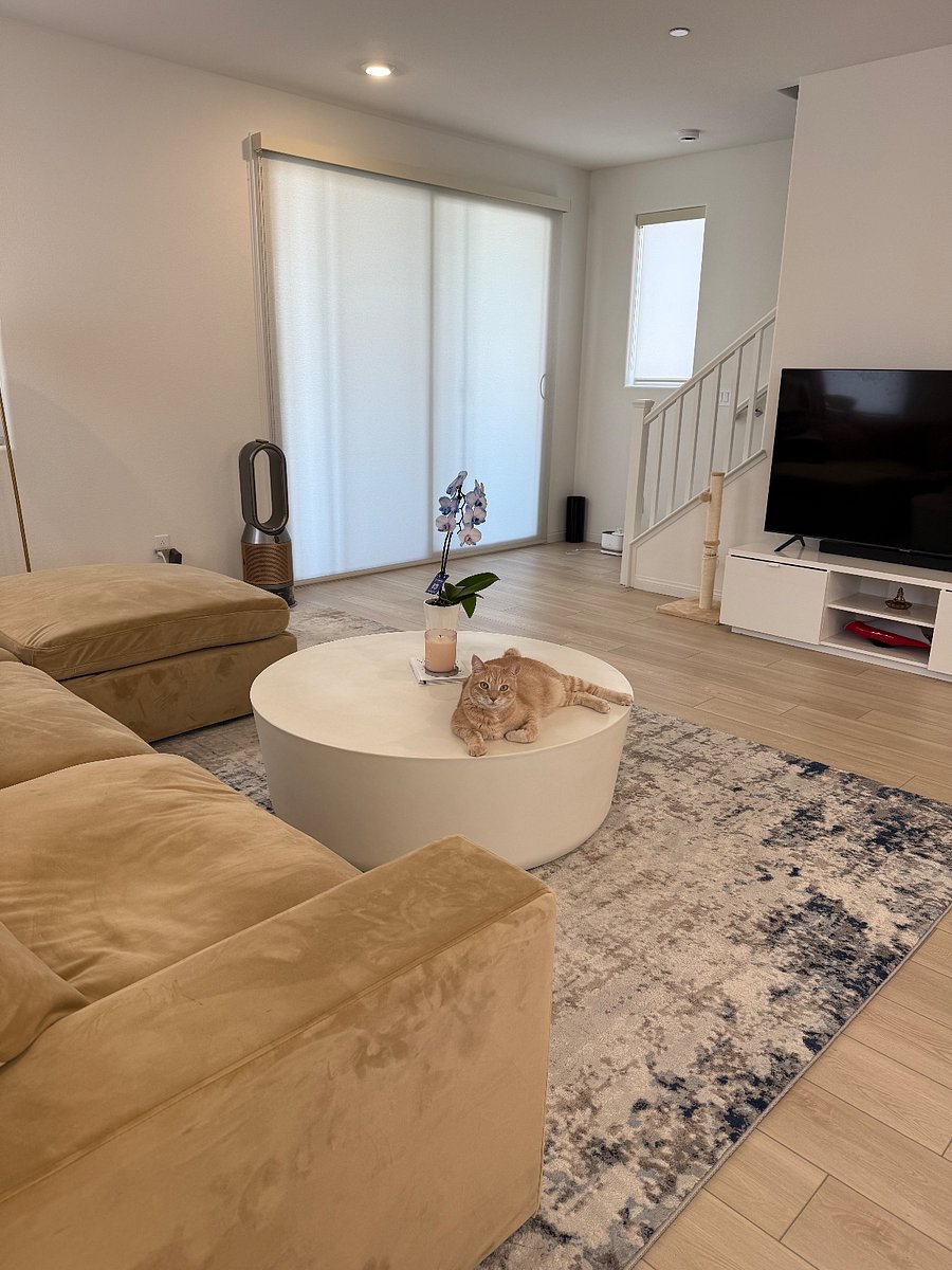 Furnished Finder property 893900_1 photo 11