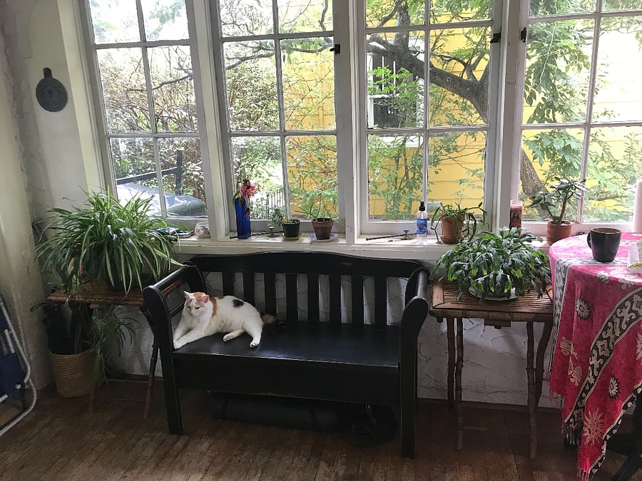 sun porch