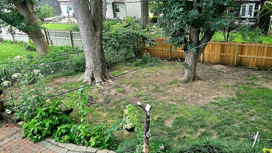 Furnished Finder property 893982_1 photo 28