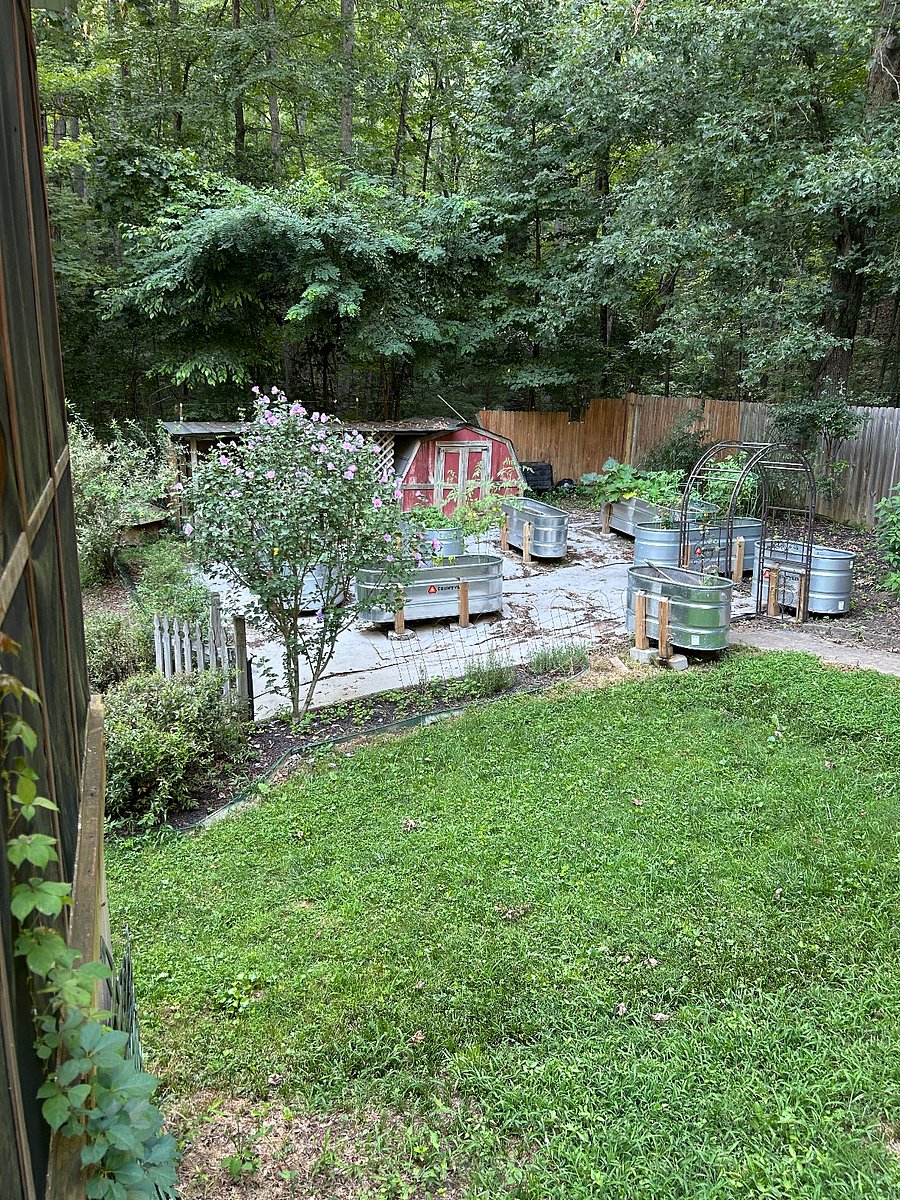 Furnished Finder property 894038_1 photo 11