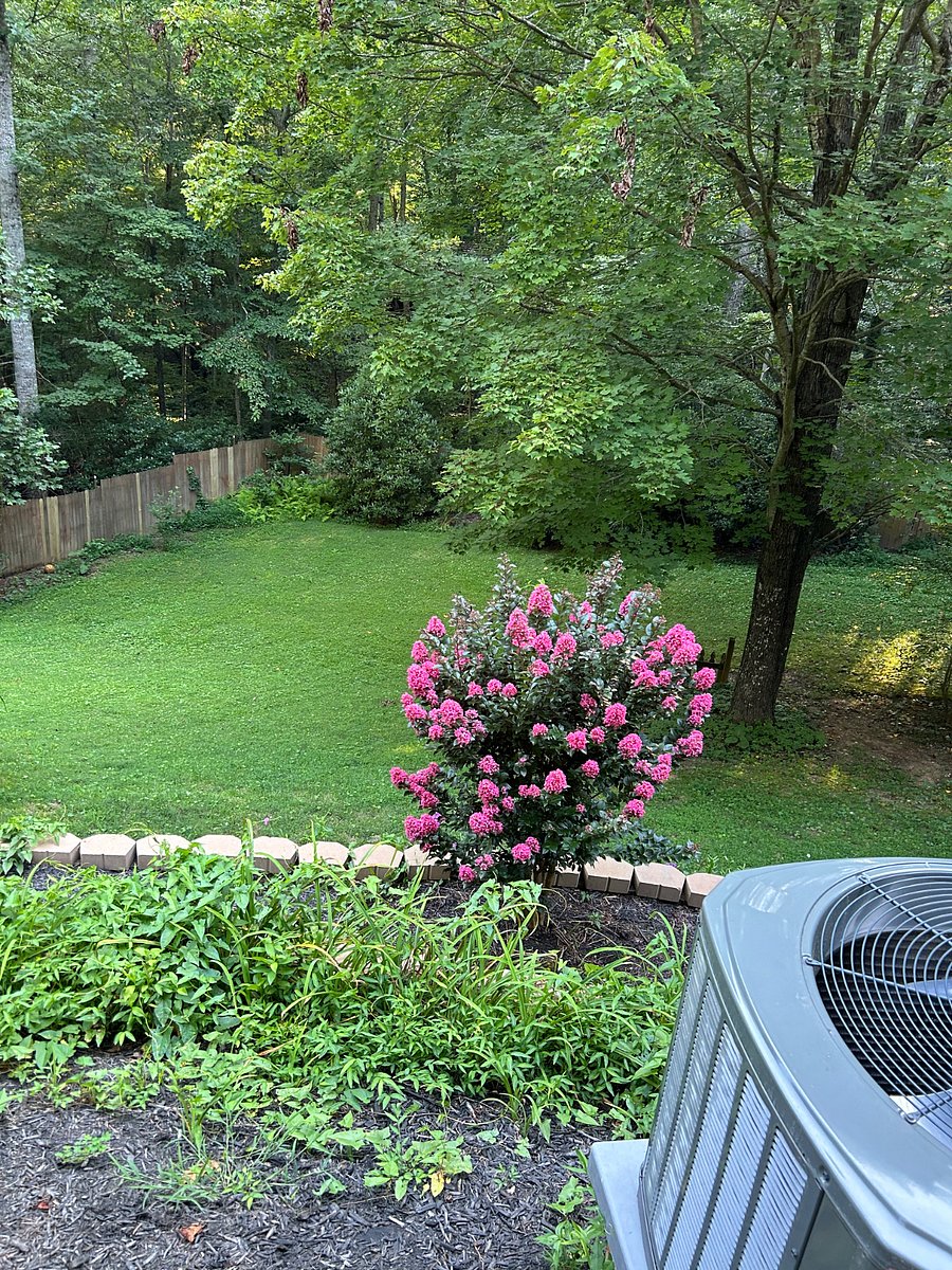 Furnished Finder property 894038_1 photo 12