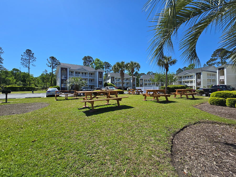 picnic area