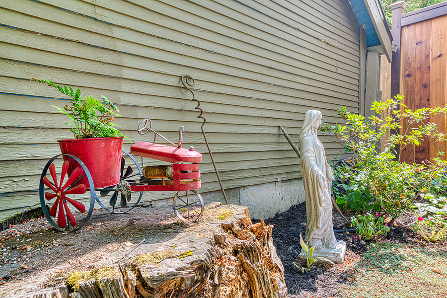 This stump is from a second fir tree that had to come down. I love that at least a part of it can still be in the yard and add beauty.