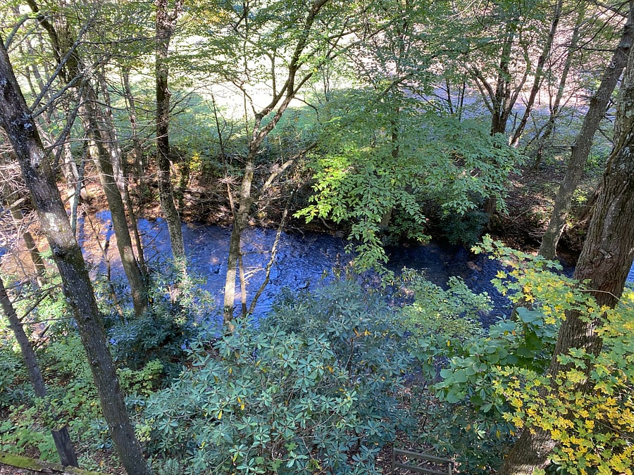 View of the creek from the upper back deck.