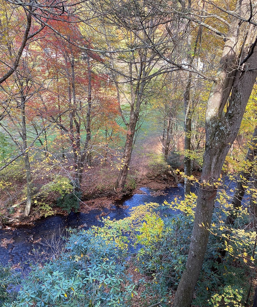 View of Howard's Creek from upper back deck. Fall season.