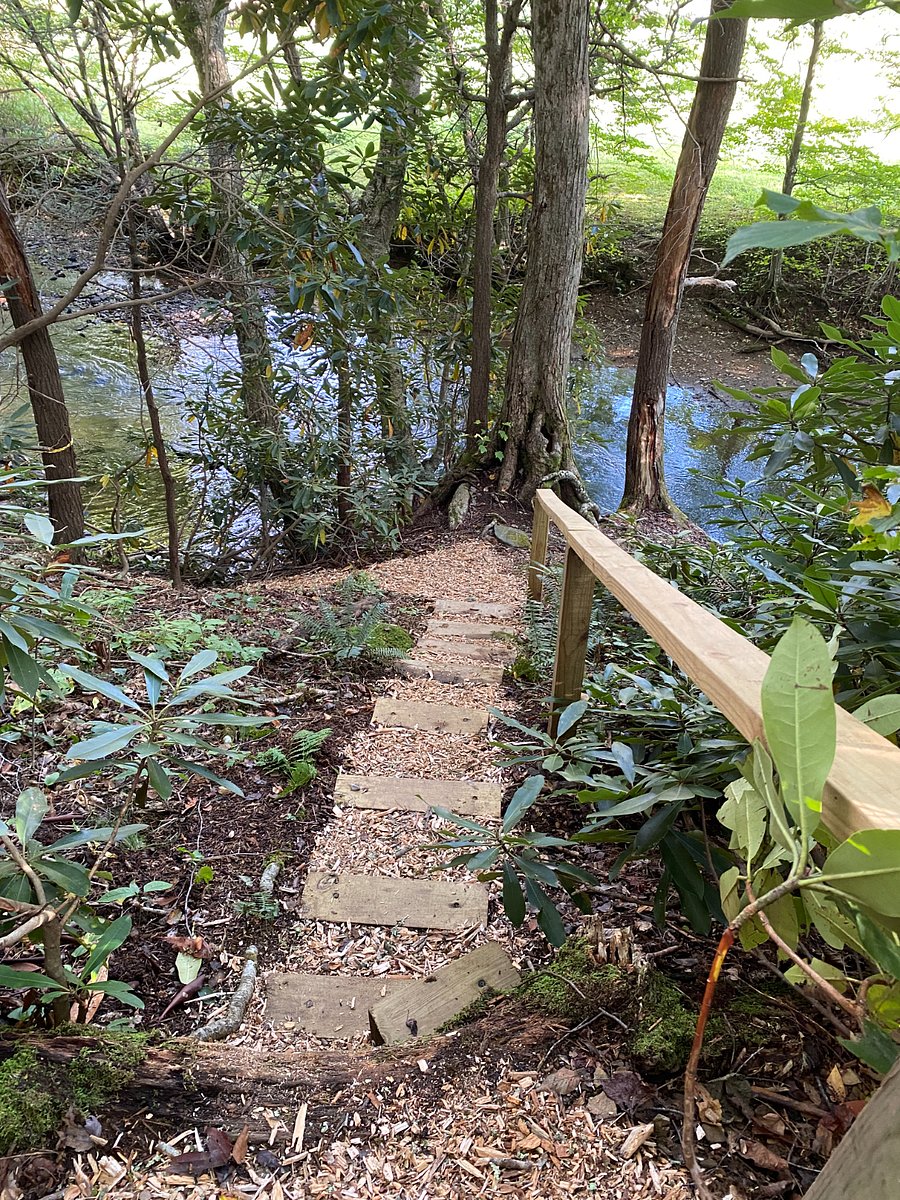 Steps to the creek.