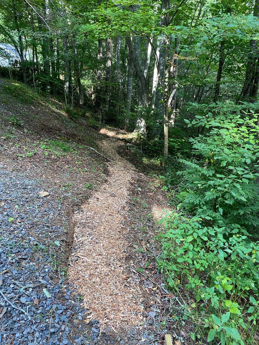 Path to steps to the creek.