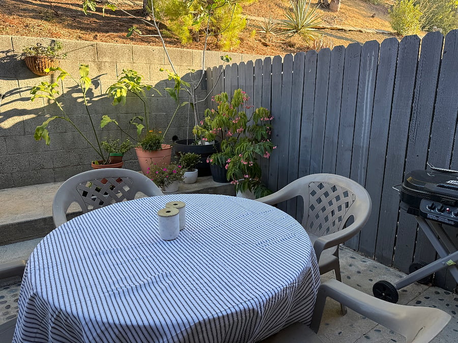 Private back patio with firepit, hammock, and dining table