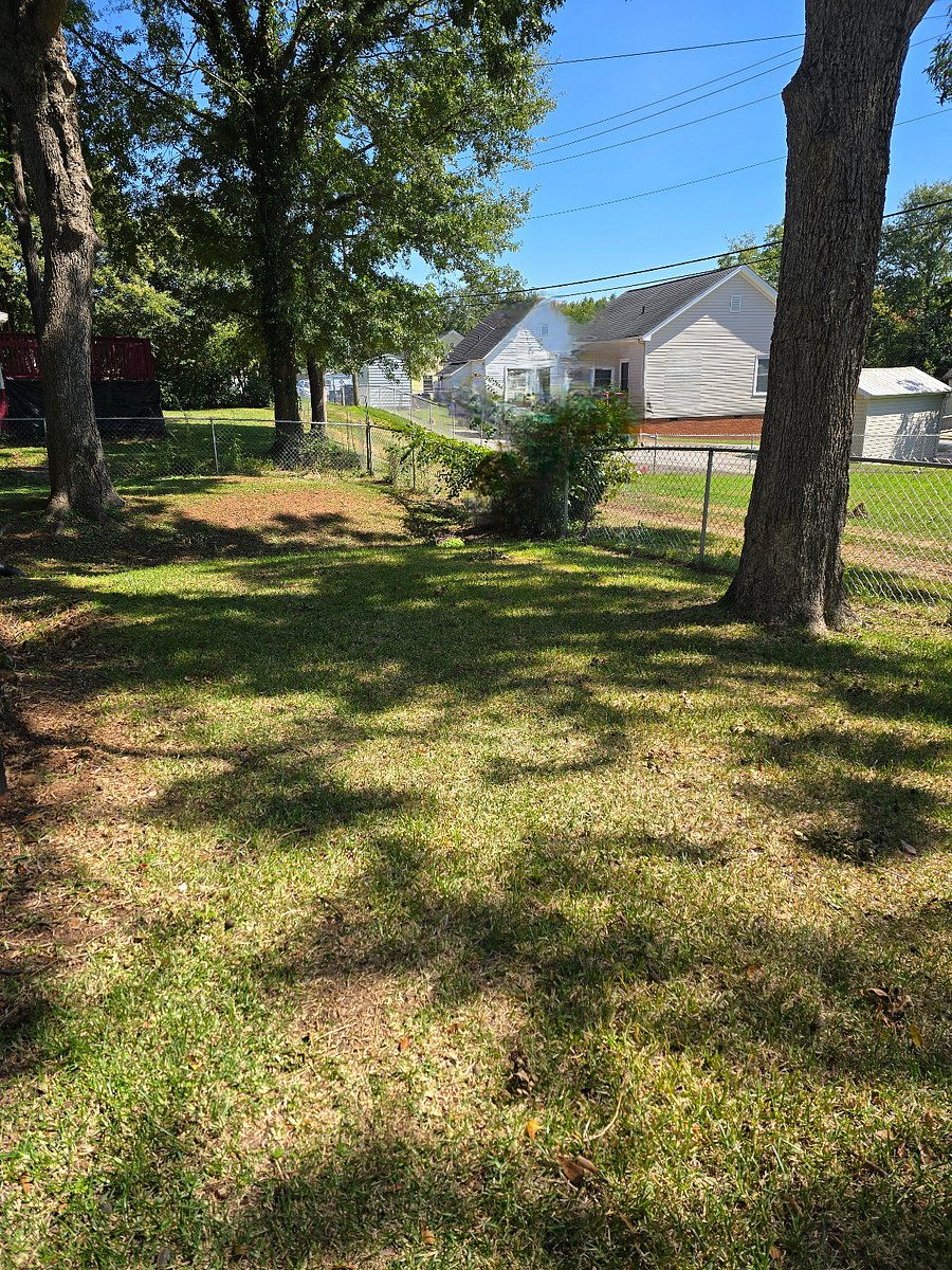 Large, shaded and fenced back yard