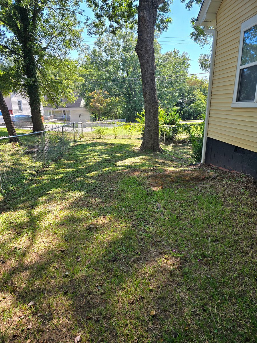 Fenced and shaded yard