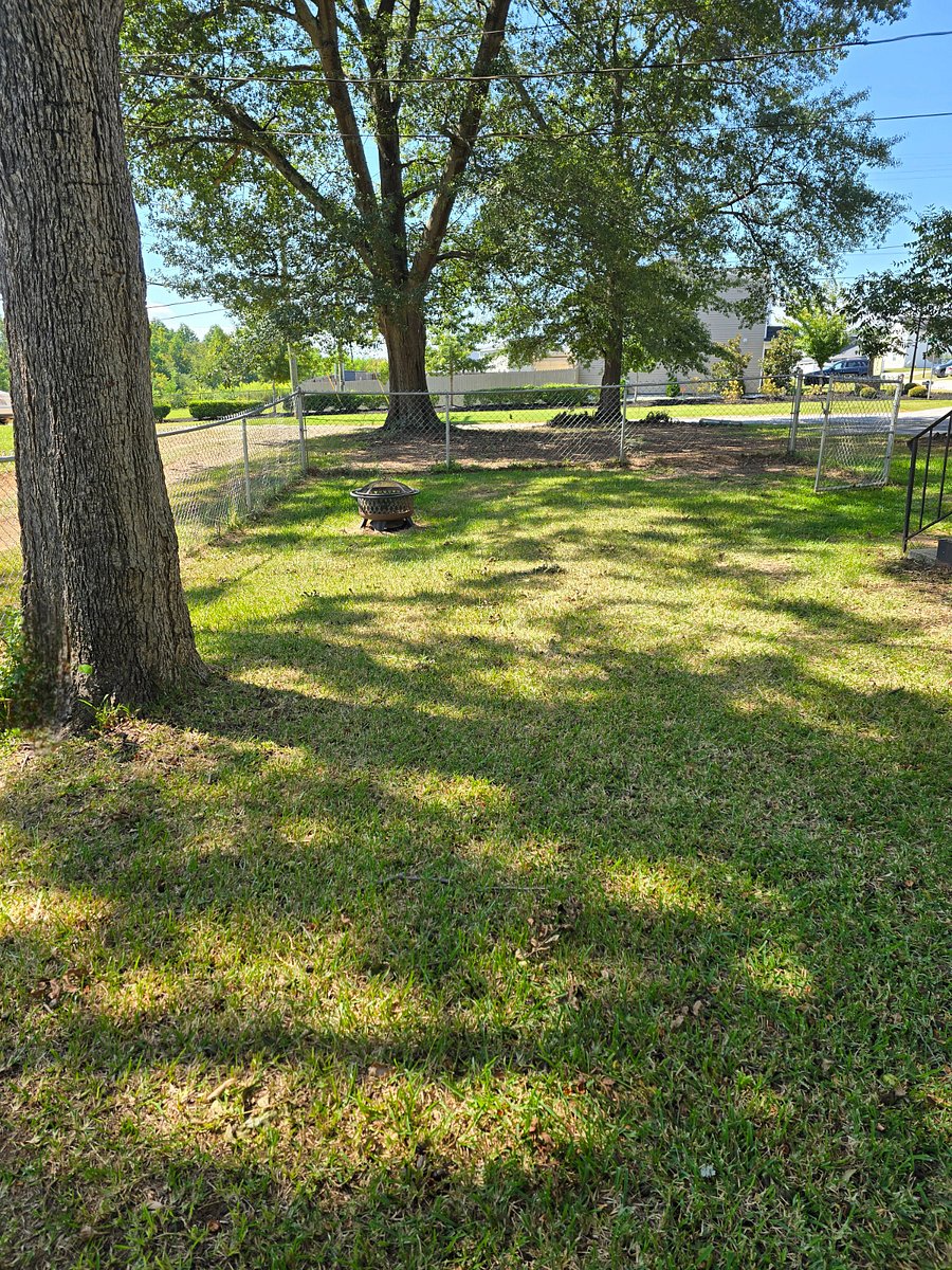 Fenced and shaded yard