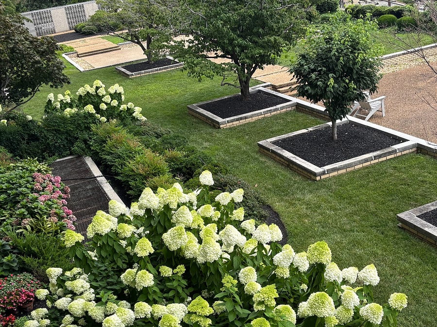 View from balcony
