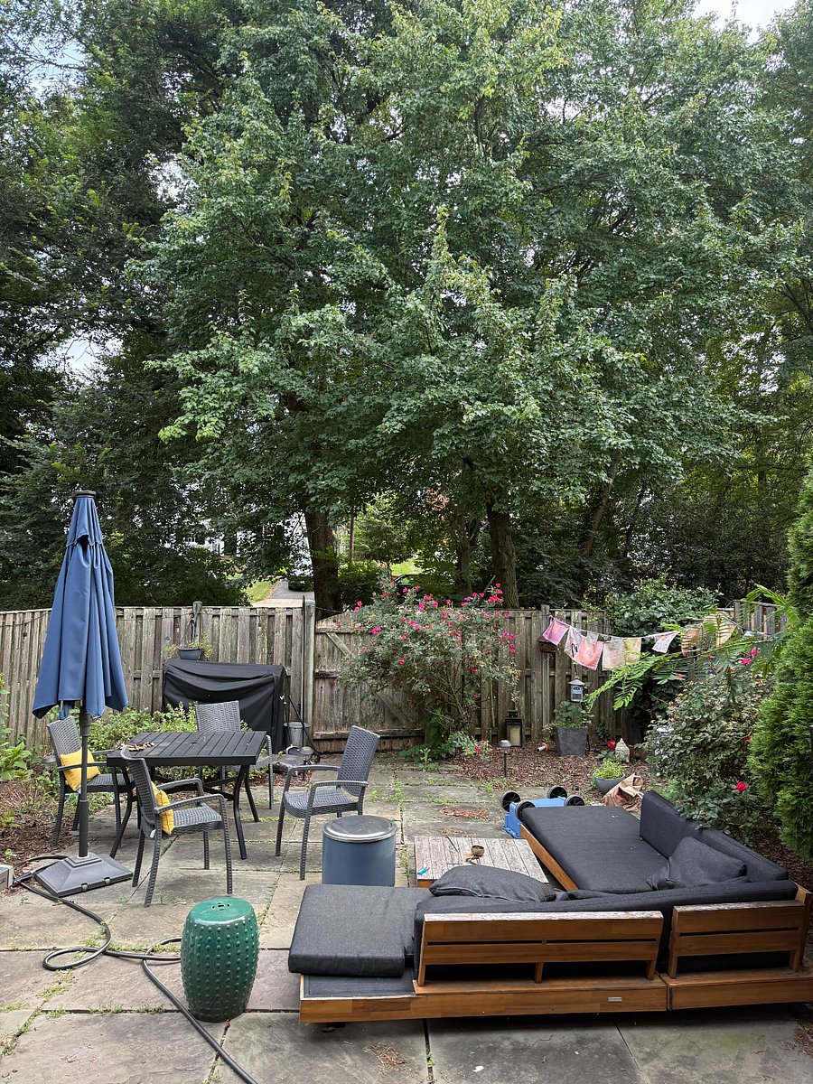 exterior - backyard