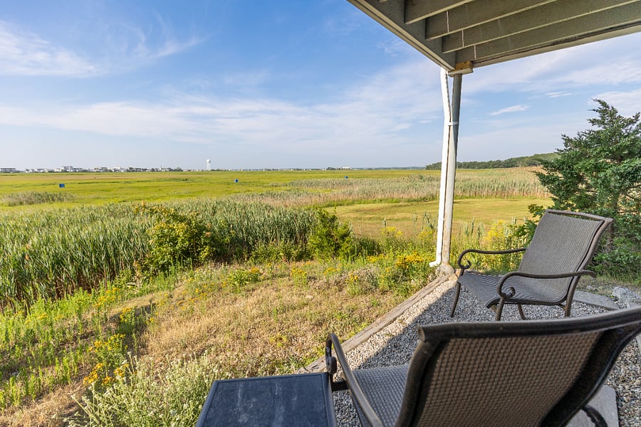 Marsh view