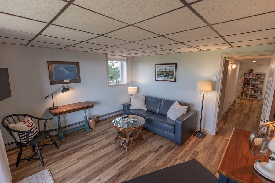 Bonus room - Queen pullout