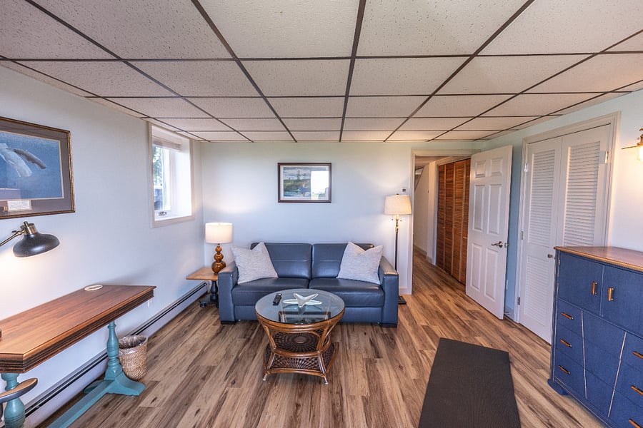 Bonus Room with Queen pullout couch.